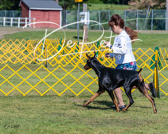 20230514-DSC02994