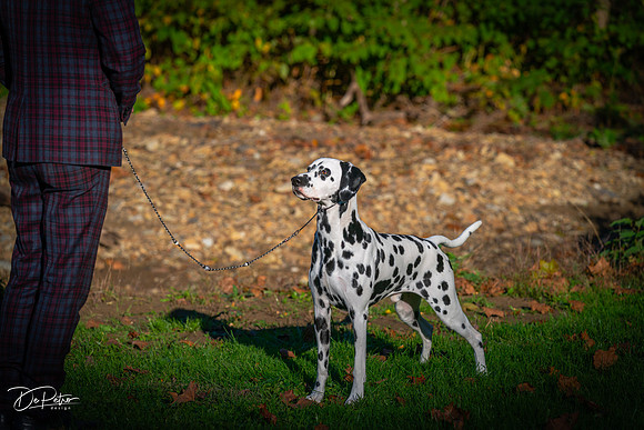 20261017-DSC08886