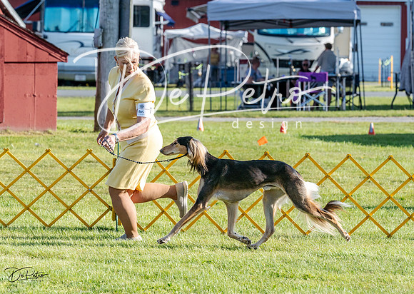 20230513-DSC02418
