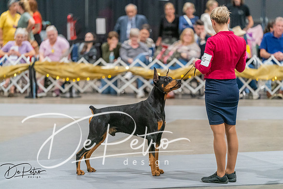 20260927-DSC05426