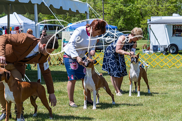 20230514-DSC04067