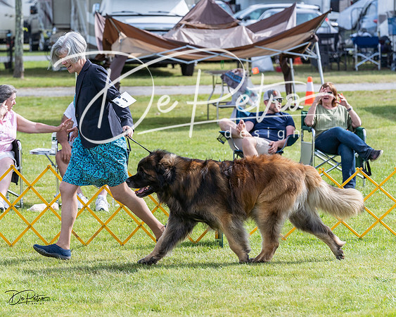 20230513-DSC00995