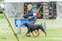 20230428-DSC07633