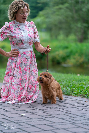 20260912-DSC03256