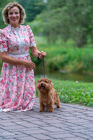 20260912-DSC03252