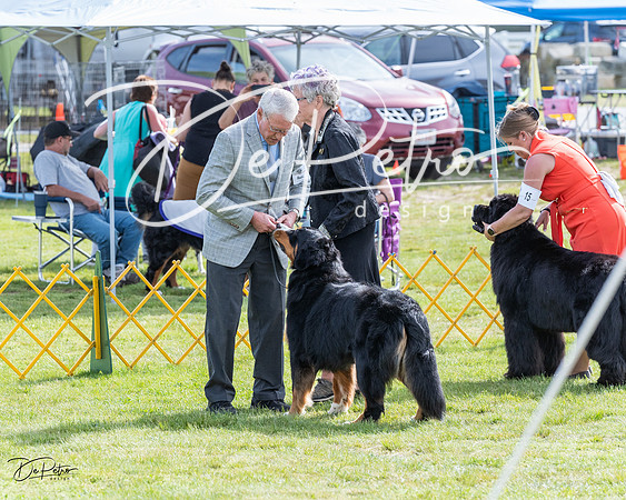 20230513-DSC00927