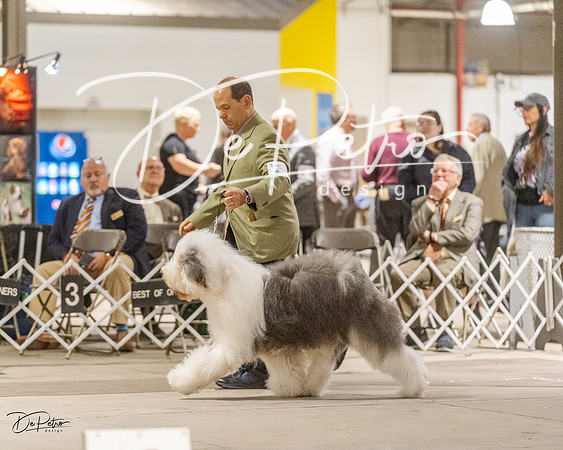 20230401-DSC07777