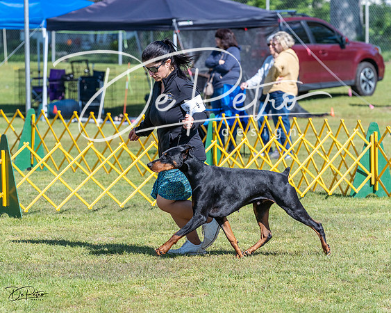 20230514-DSC03137