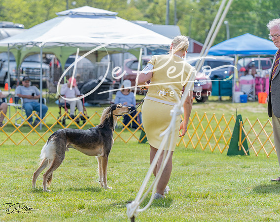 20230513-DSC09553
