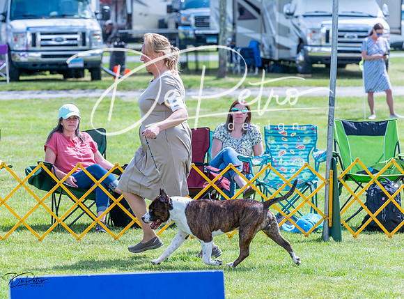 20230512-DSC04008
