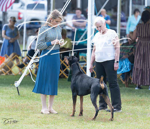 20230513-DSC08903