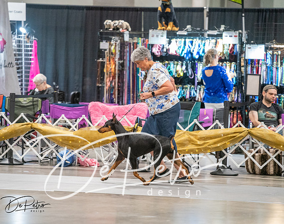 20260926-DSC04650