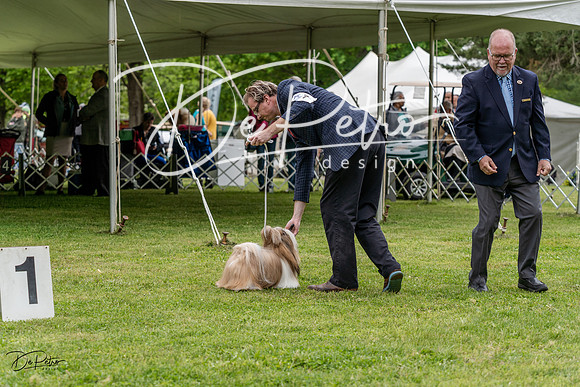 20230427-DSC04212