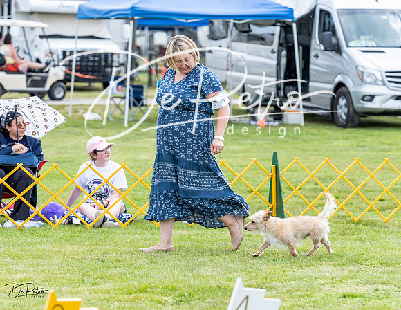 20230512-DSC03837