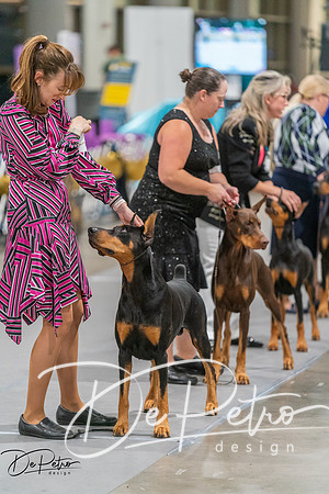 20260926-DSC05033