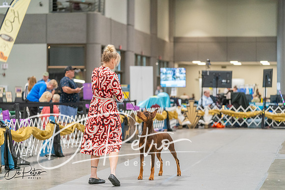 20260927-DSC05055