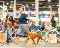 20261022-DSC01542