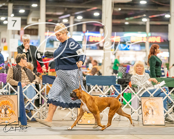 20261022-DSC01542