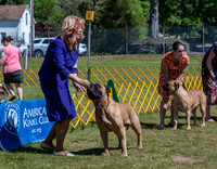 20230514-DSC03578
