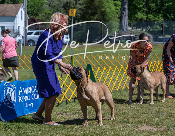 20230514-DSC03578