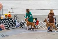 20261023-DSC04808