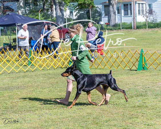 20230514-DSC03255