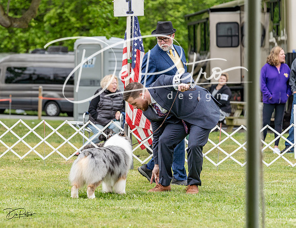 20230427-DSC07367