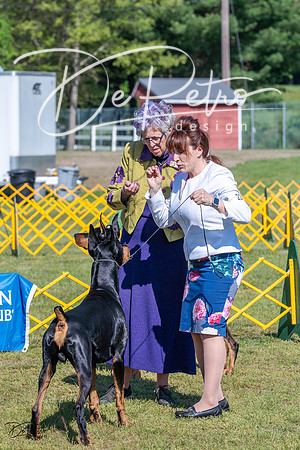20230514-DSC03219