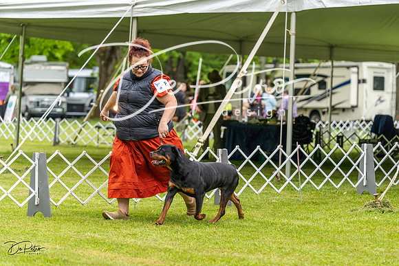 20230427-DSC02464