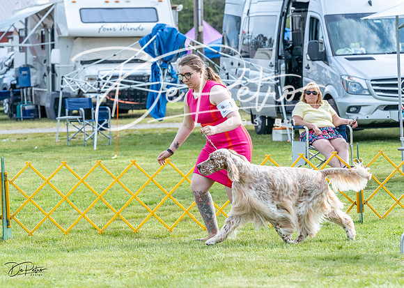 20230512-DSC06734