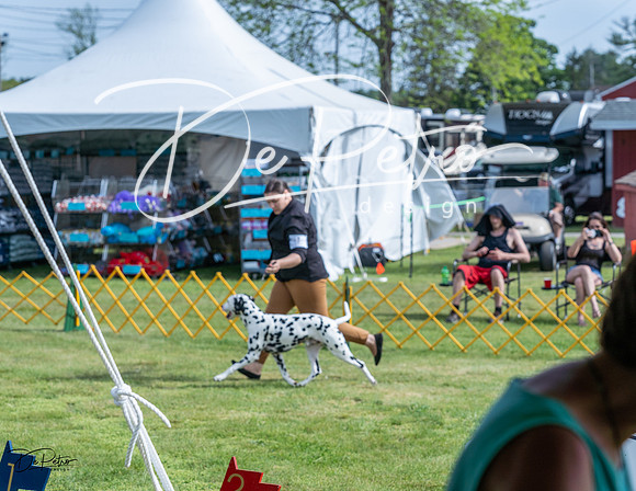 20230513-DSC00455