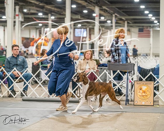 20261022-DSC01820