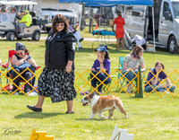 20230512-DSC03952