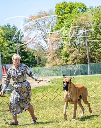 20230514-DSC07945