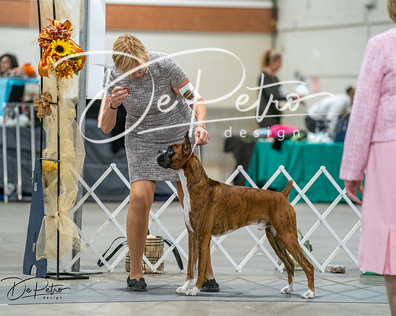 20261022-DSC02770