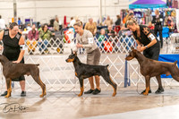20261024-DSC00576