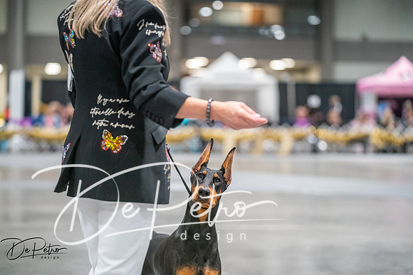 20260926-DSC04864