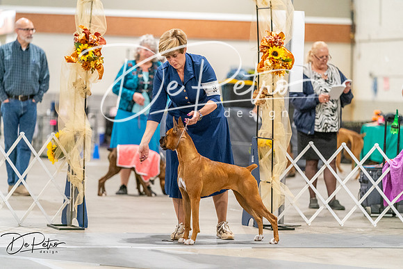 20261022-DSC00269