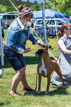 20230514-DSC04599