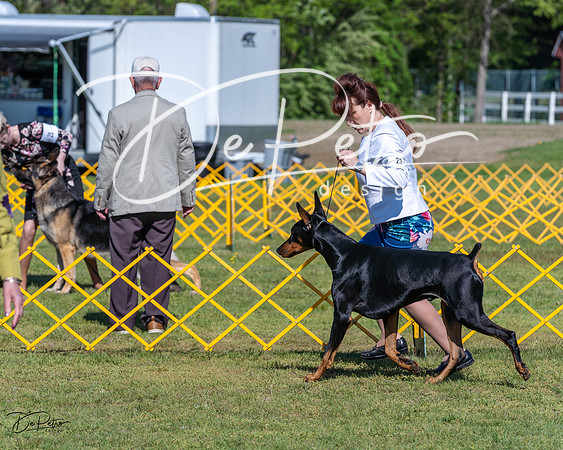 20230514-DSC03002