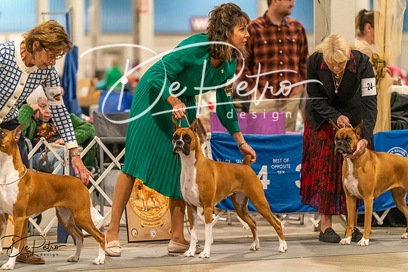 20261023-DSC05498