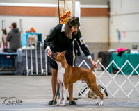 20261022-DSC02669