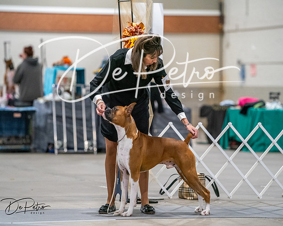 20261022-DSC02669