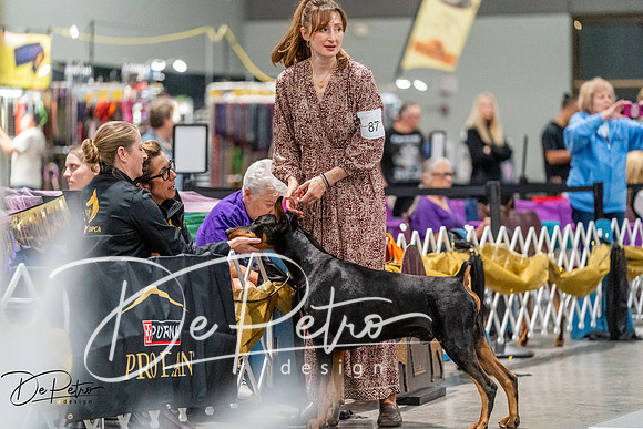 20261001-DSC07318