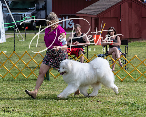 20230513-DSC00863