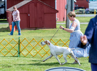 20230512-DSC05673
