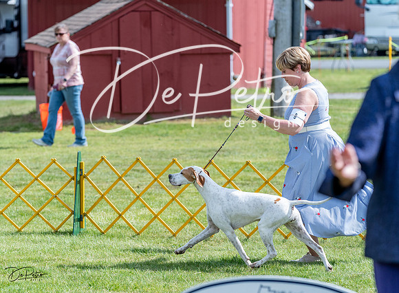 20230512-DSC05673