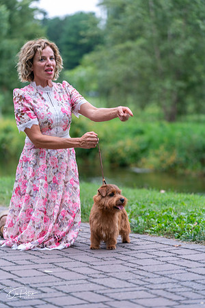20260912-DSC03269
