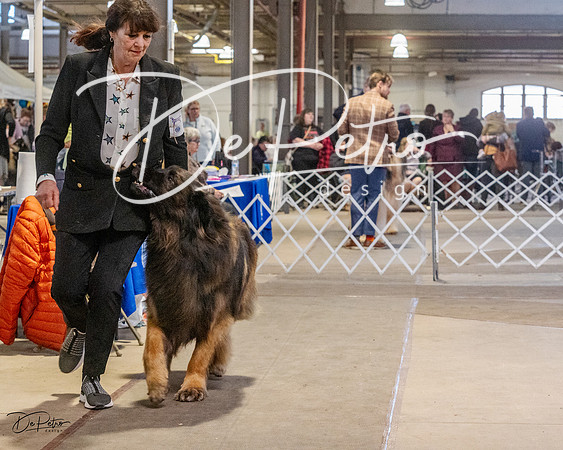 20230402-DSC09339