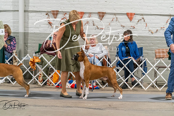 20261023-DSC05712